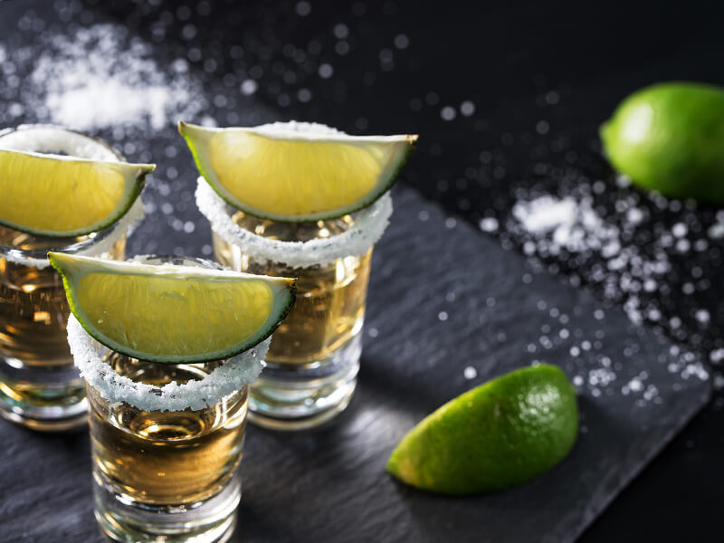 Thông Tin Về Cây Tequila Tất Cả Những Gì Bạn Cần Biết