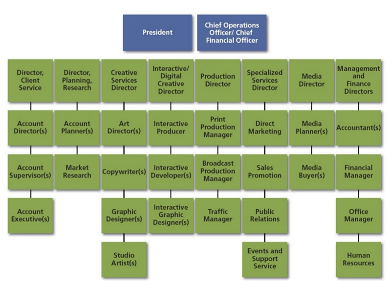 roles & responsibilties