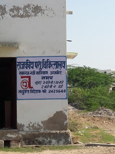 Government Animal Hospital - CJCV+VM6, Near Samudaik Bhawan, Gaddi Malian,  Ajmer, Rajasthan, IN - Zaubee