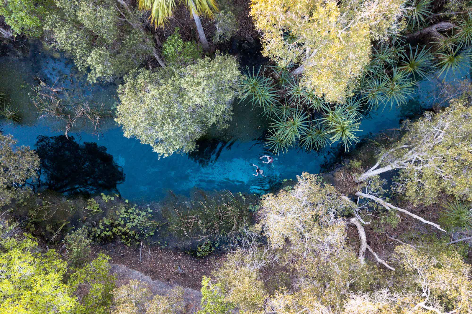 Bitter Springs (Mataranka)Tours