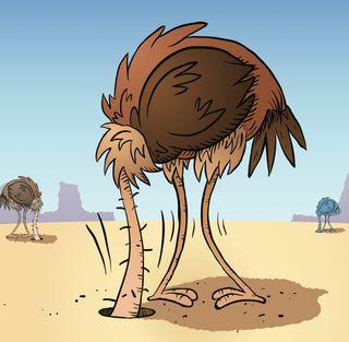 Image result for ostrich head in the ground cartoons
