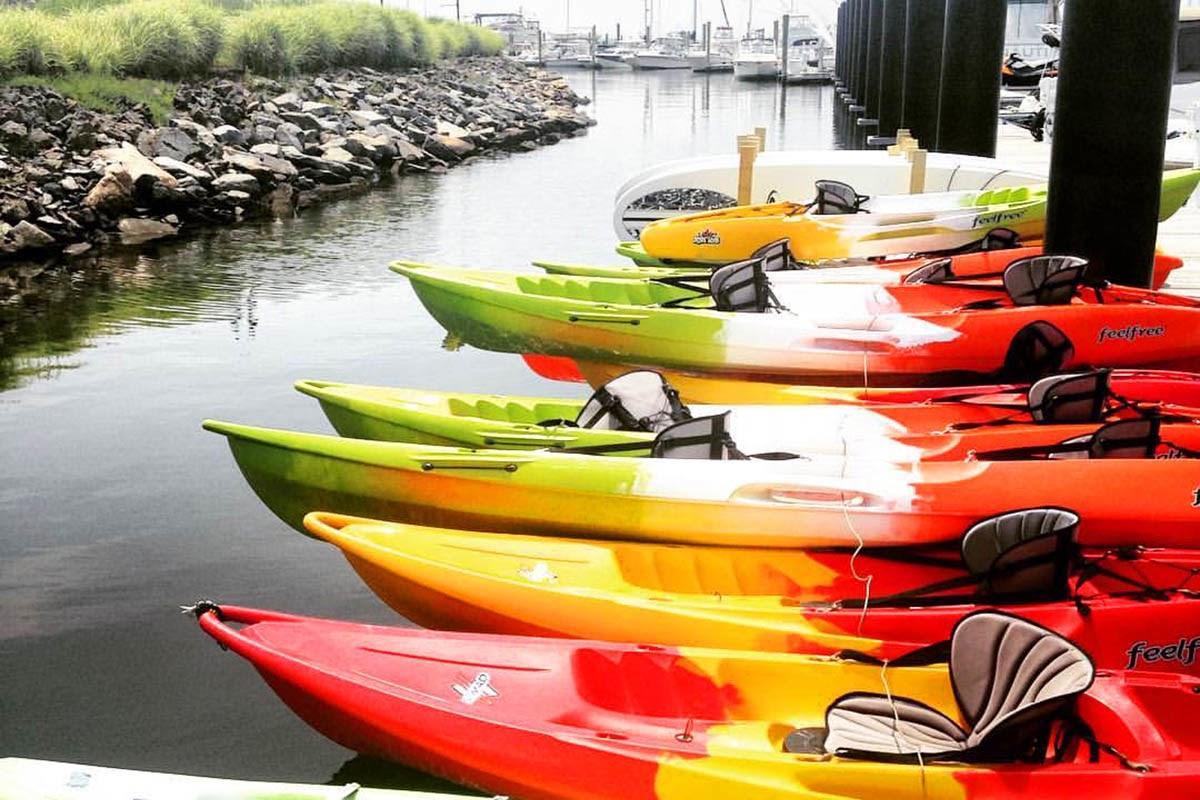 A group of kayaks on a river

Description automatically generated with low confidence