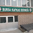 Bursa Kafkas Derneği
