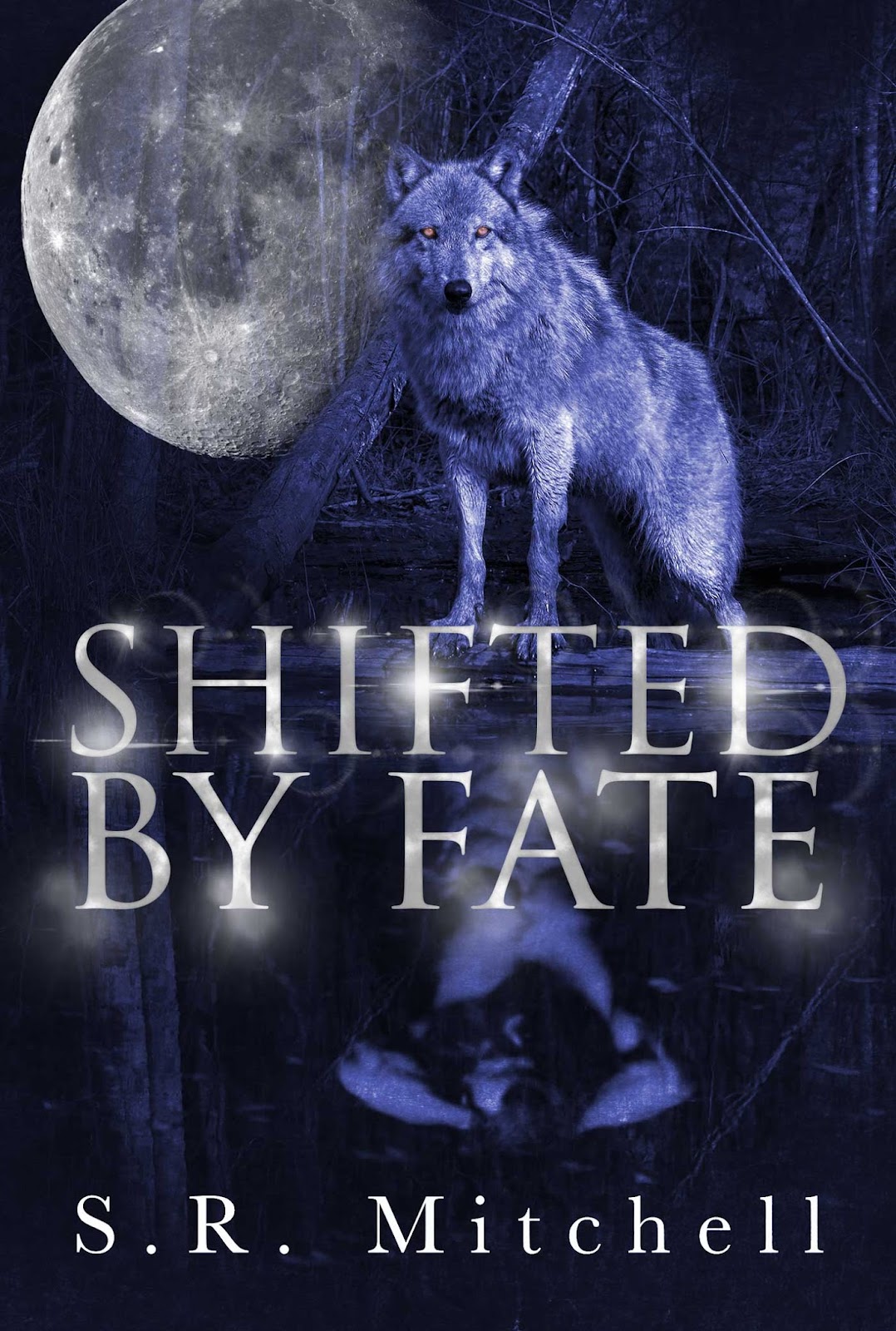 Shifted-by-Fate-ebook.jpg