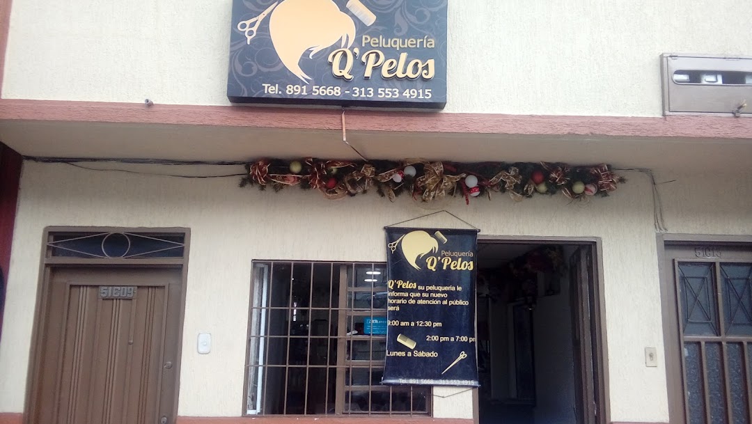 Peluqueria Q Pelos