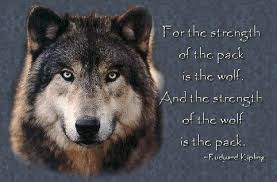 Image result for rudyard kipling wolf pack quote