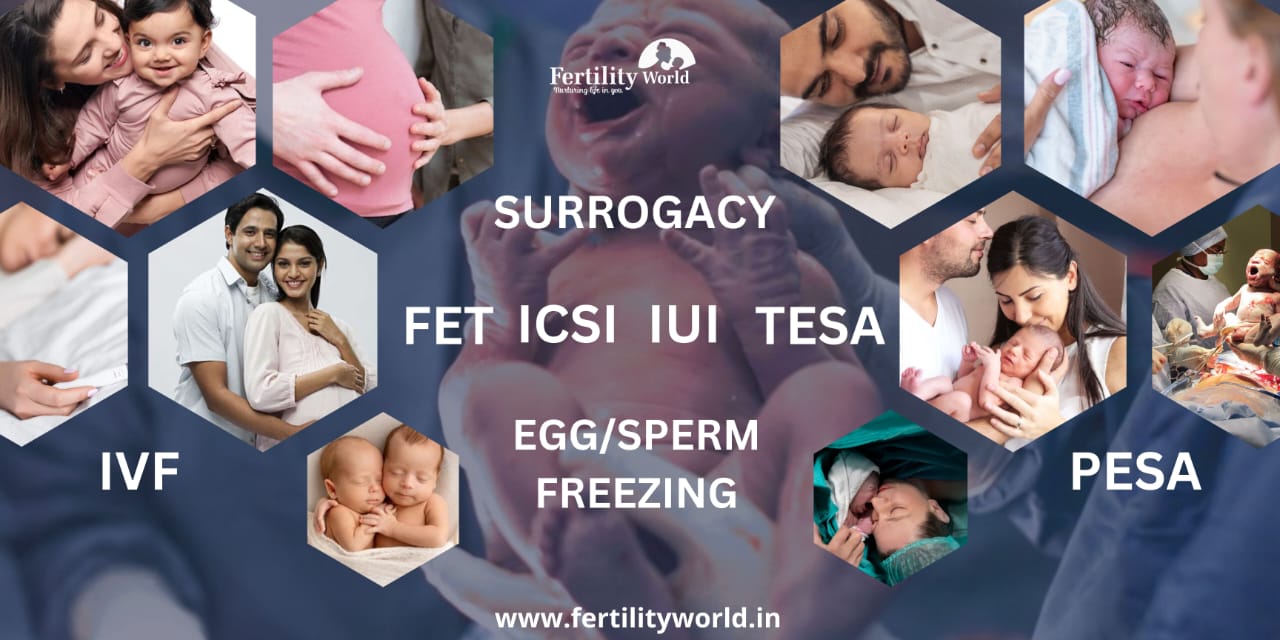 Available fertility treatments in Ludhiana