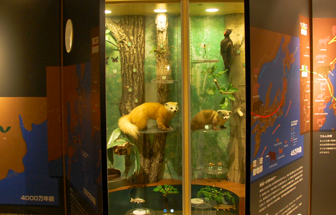 1.平岸にある自然系総合博物館「札幌市博物館活動センター」