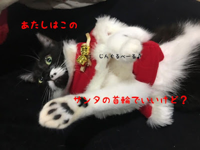 [ベスト] 猫 マイクロ チップ gps 231670-猫 マイクロチップ gps