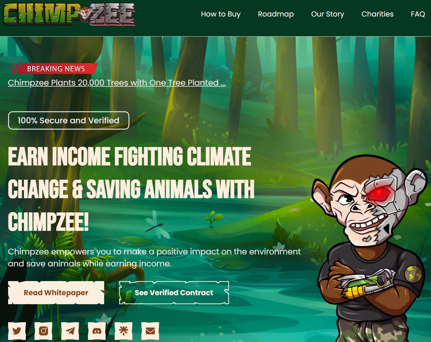 chimpzee kurs