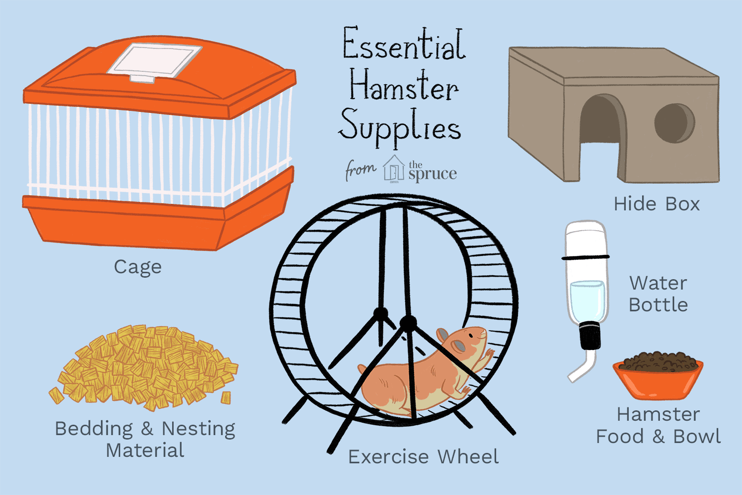 Hamsters need checklist - Owner must follow in 2022