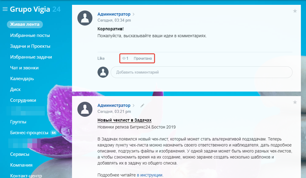скриншот счетчика просмотра постов в Живой ленте