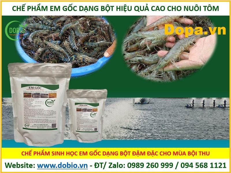 Chế phẩm sinh học EM gốc dạng bột