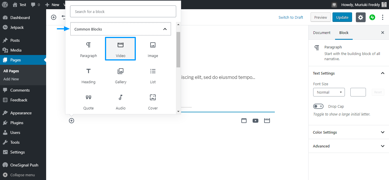 bloco de vídeo no editor gutenberg