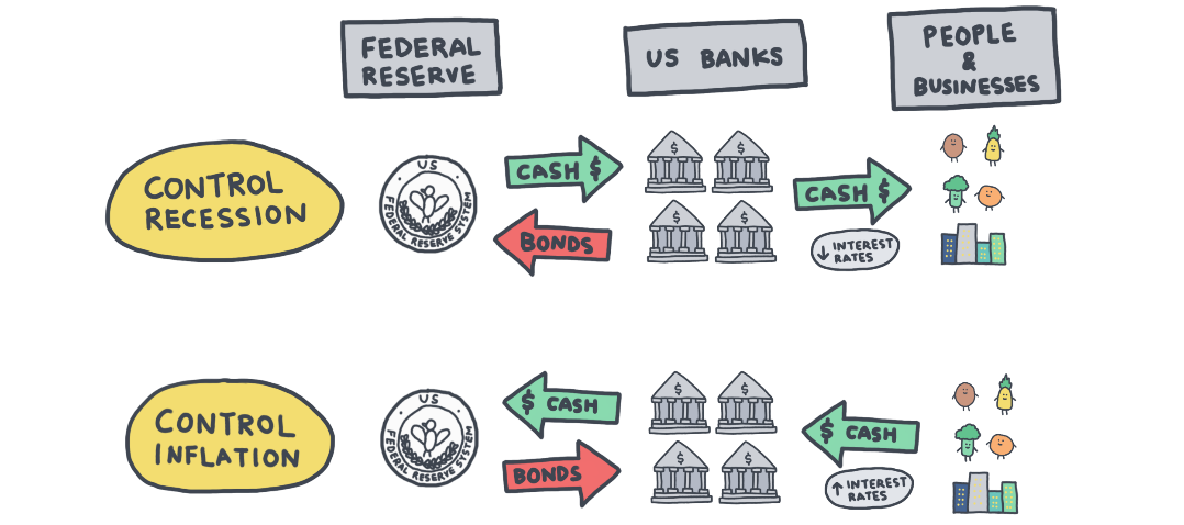 How the Federal Reserve Affects You Every Day — The Conscious Potato