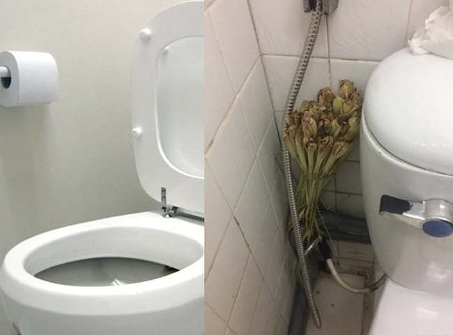 7 Mẹo Đánh Bay Mùi Hôi Thối Trong Phòng Wc, Toilet XDkur60yxFvOglffGfa2Vx759NNiNQXq5ZMCmQ_XO9Gd58CrJHjXvqEOIkbnhDi5bvfgaoxbIYvFC04hUyfFaeTIQRwDInHkk6QTNw5Pxm49IuxbT1bafmbDBIIl8umssx2KqPVYR97NyHXuLY2PhBw