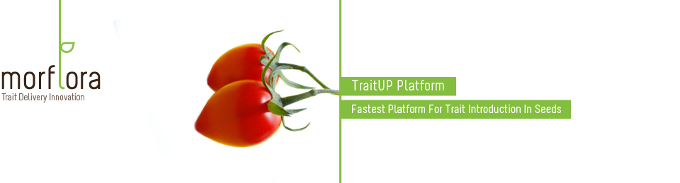 TraitUP – генетическая революция в сельском хозяйстве