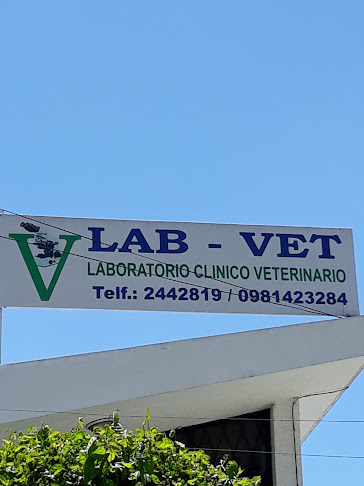 Opiniones de Lab-Vet en Quito - Veterinario