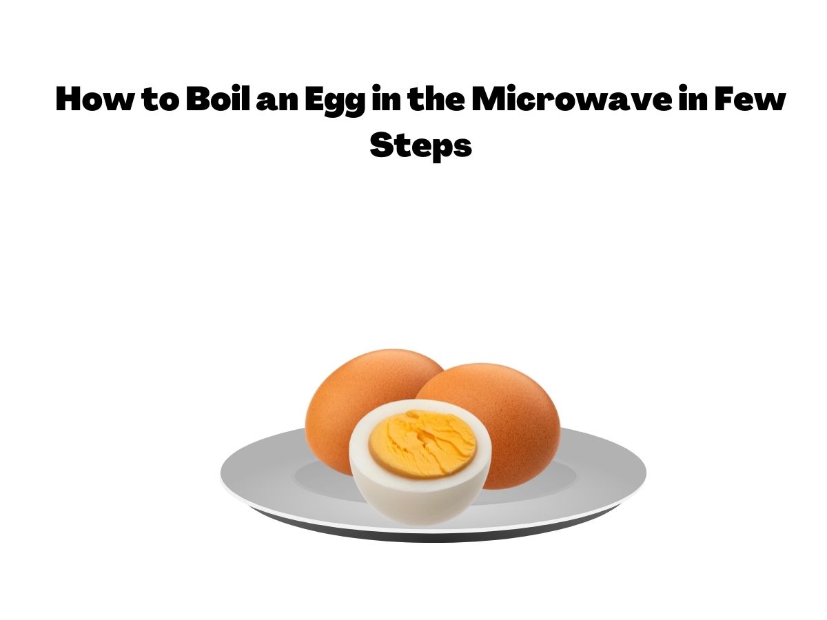 How to Boil an Egg in the Microwave?