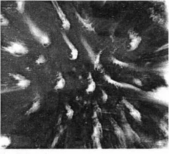 D:\0 wd yedek\acr yedek\1 film indirme\forbidden_magic_ancients_9_dosyalar\image027.jpg