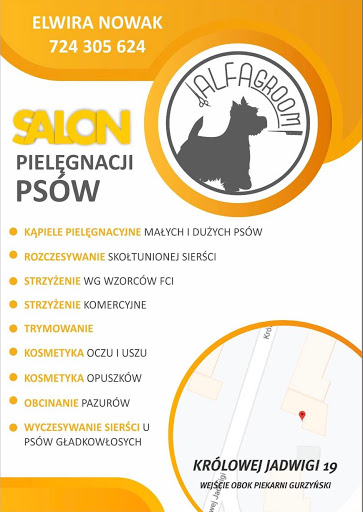 Salon Pielegnacji Psow Alfagroom Fryzjer Dla Zwierzat W Ostrow Wielkopolski