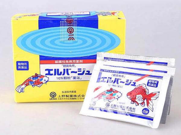 Thuốc Tetra Nhật đặc trị thối mang và một số bệnh khác cho cá Koi