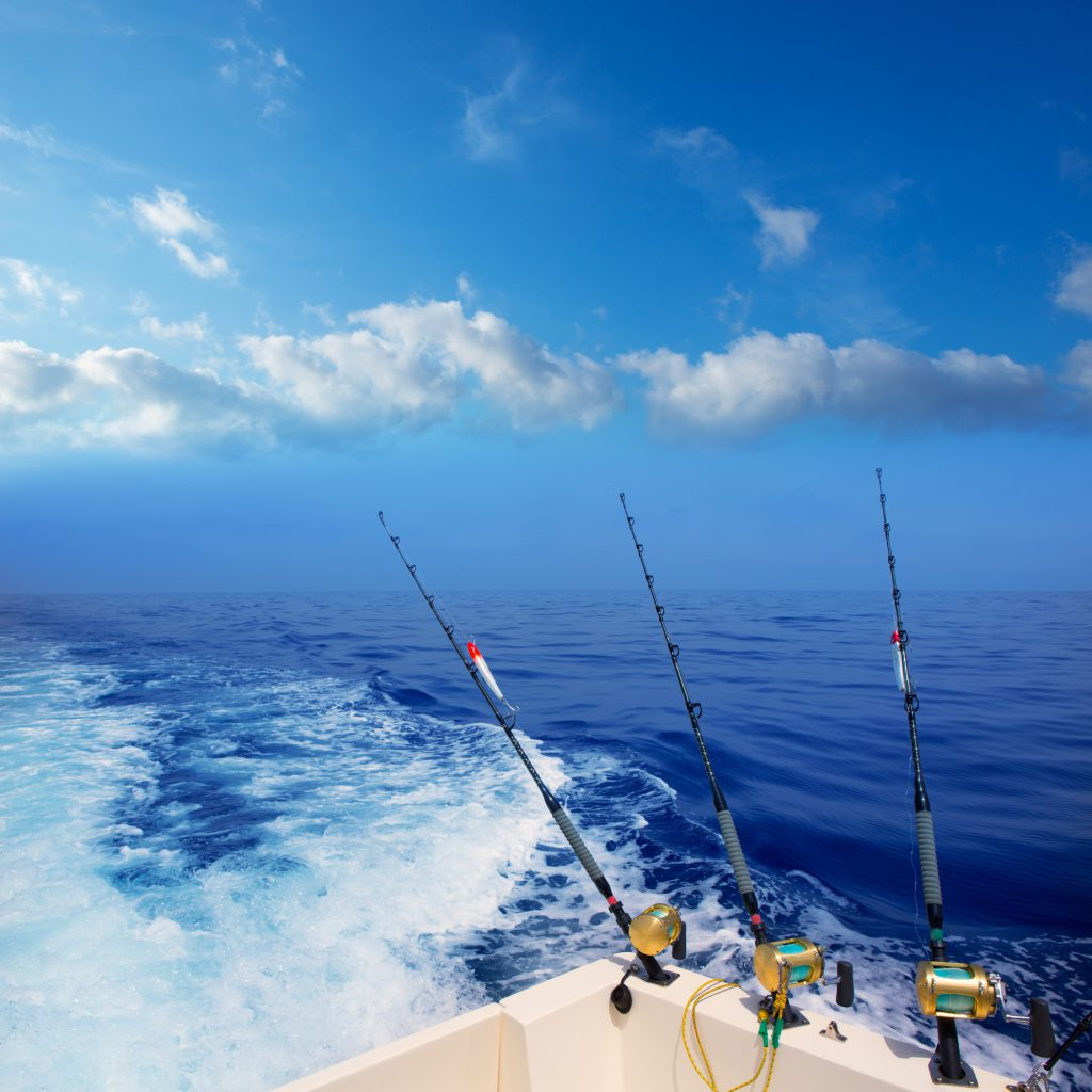 Ways to Find the Best Inshore Fishing Charters and Deep Sea