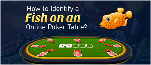 Poker Fish Strategy – Three Ways to Play against Fish
