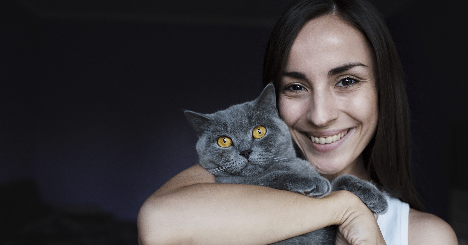 Woman holding grey/blue British Shorthair cat