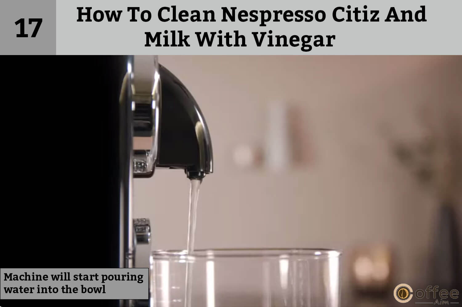 How To Clean Nespresso Citiz And Milk With Vinegar