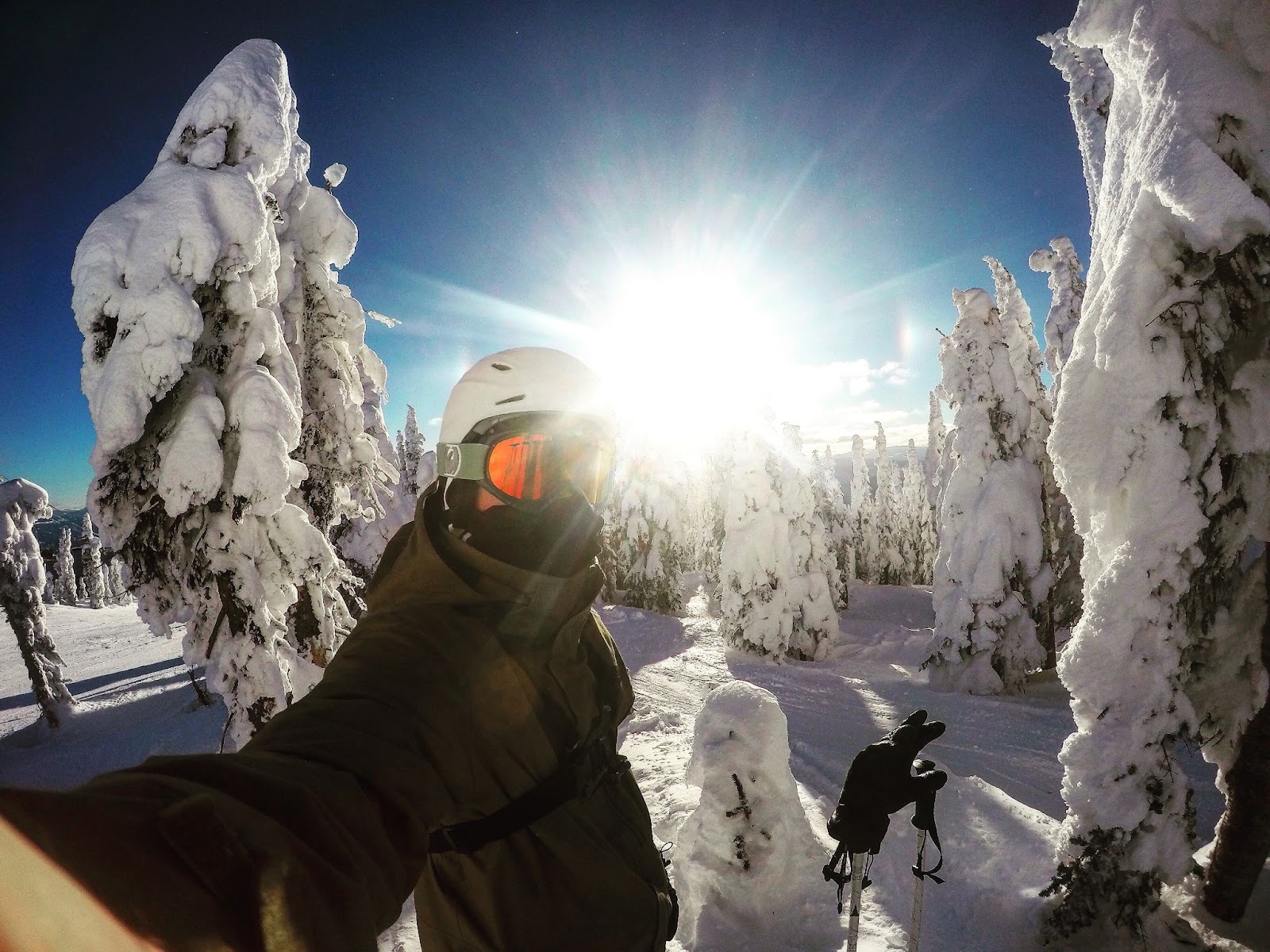 a skiier on top of a mountain at Big White, using sporting goods rented in Kelowna, with snowy trees and the sun in the background