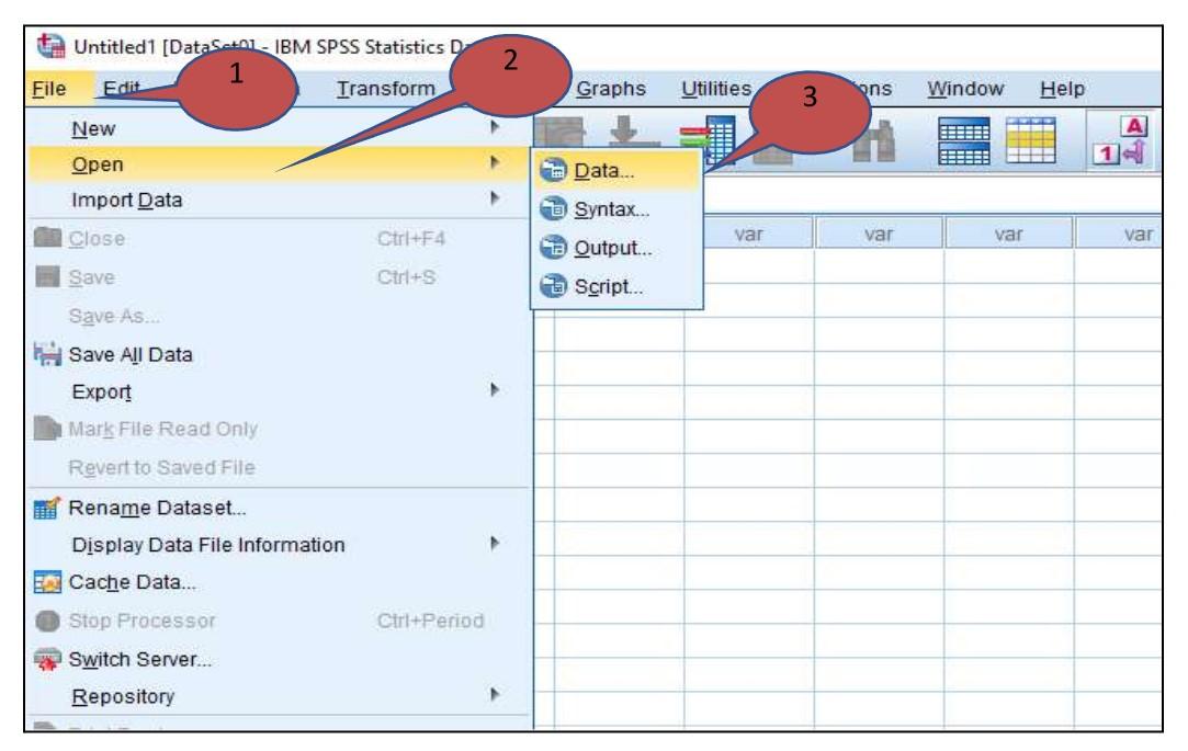 Screenshot in SPSS software, showing menu options File > Open > Data.