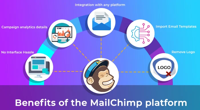 How to authenticate your website for mail chimp -Lia infrservice
