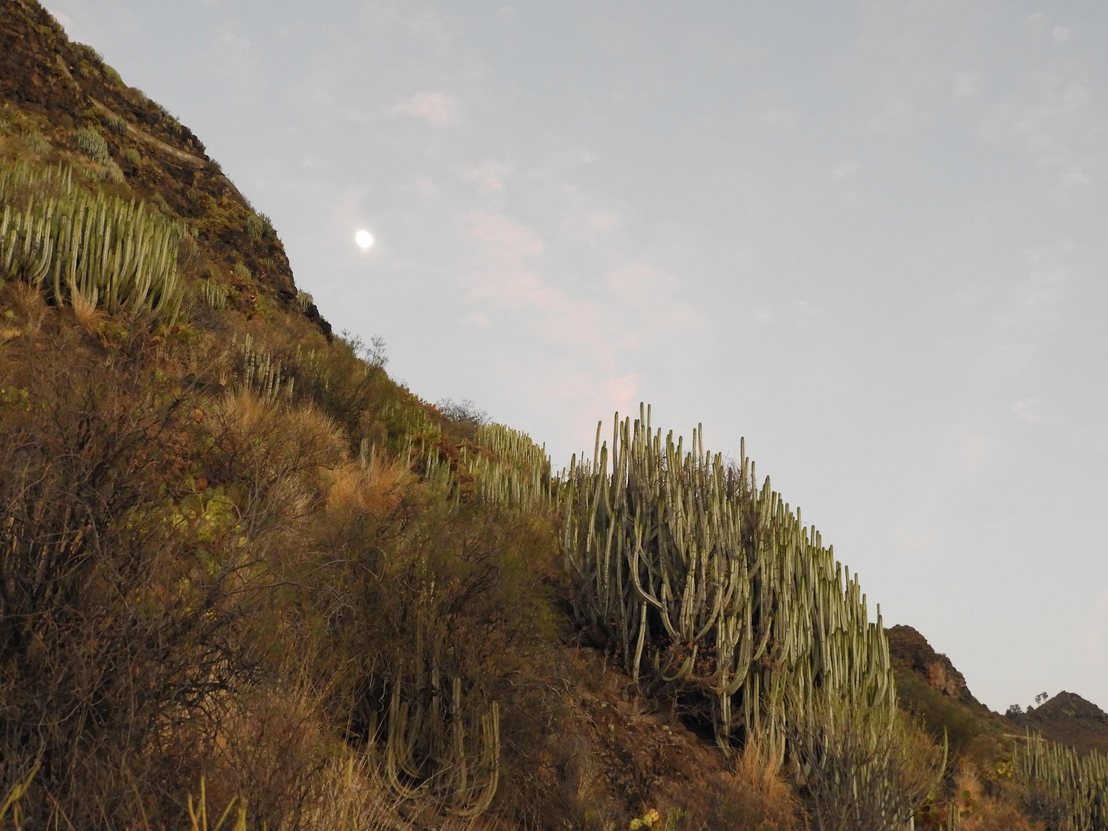 Piletas, Agaete, Gran Canaria