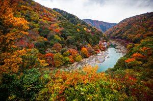 https://liburankejepang.com/wp-content/uploads/2020/06/Arashiyama-image-credit-by-Flickr-300x199.jpg
