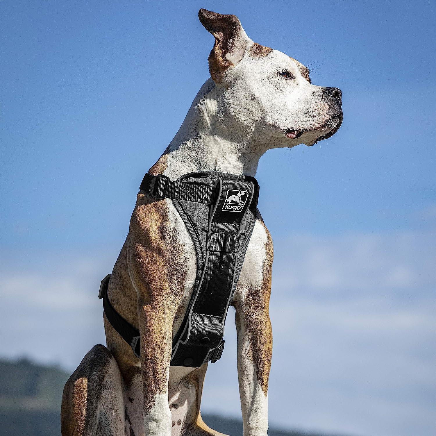 Kurgo Dog Harness for Training