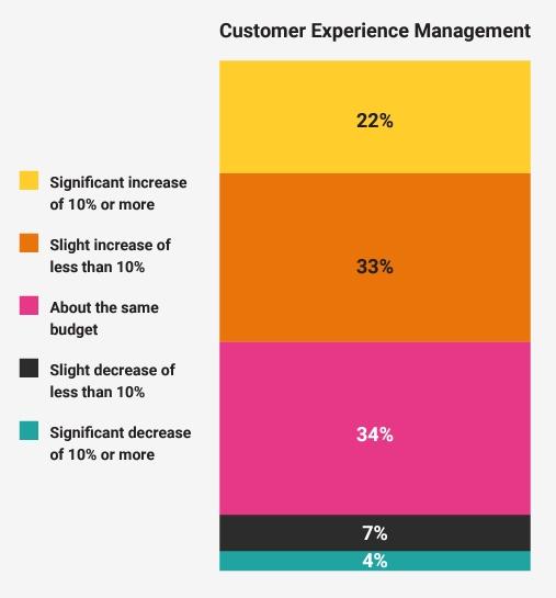 Customer Experience Management Budget Allotment Expectations for 2022