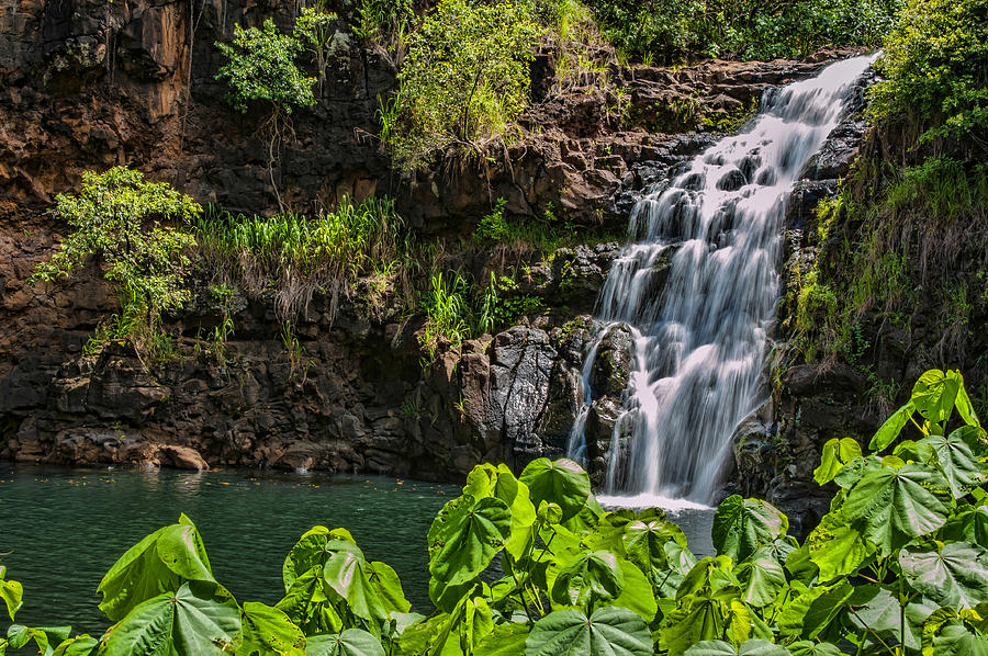 Easy Must Hikes in Oahu