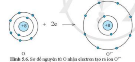 Câu hỏi trang 35 SGK TN&XH 7 CD tập 1