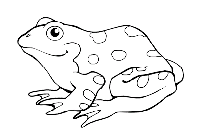 Resultado de imagen para SAPO dibujo para colorear