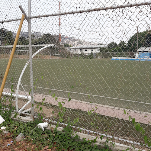 Teléfono de Cancha Fedenador