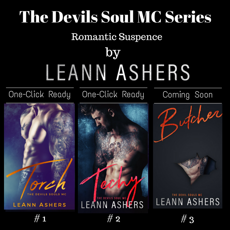 the devils soul mc series.png