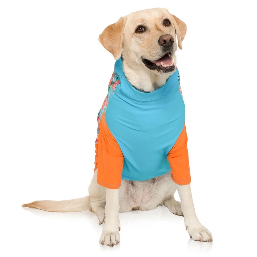 sun-shirt-for-dogs-sailing