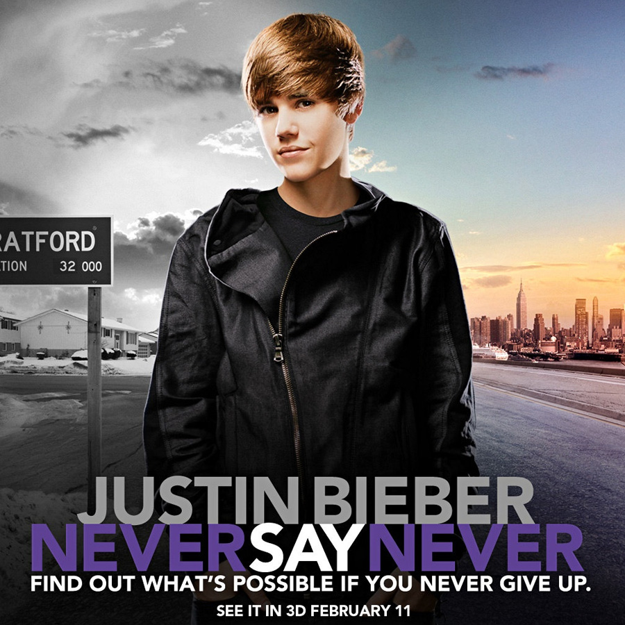 Never Say Never (2010)
