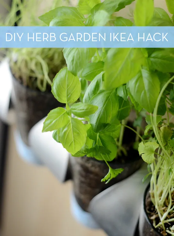 10 Clever Indoor Herb Garden 
