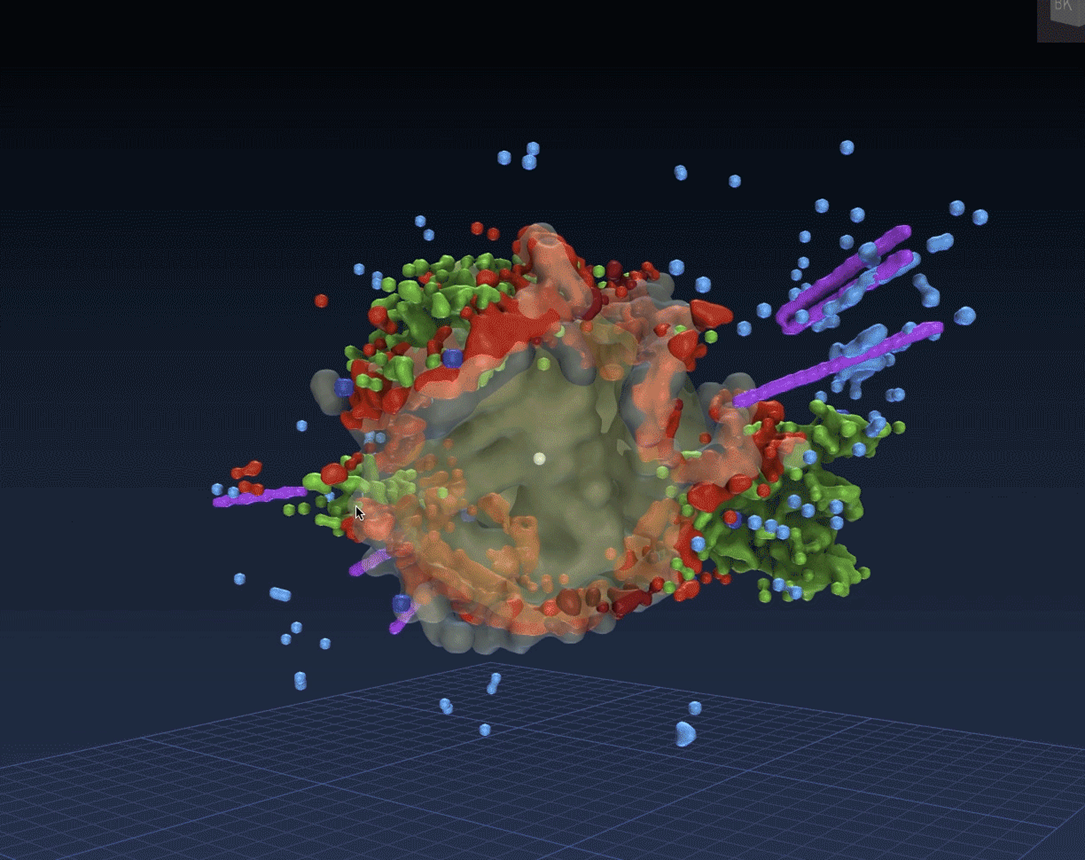 technological exaptation: MRI visualization of a nebula