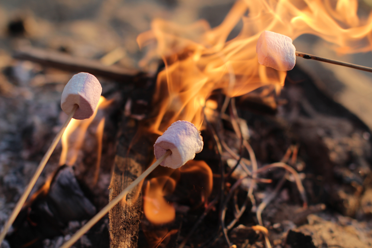 Great Car Camping Gear and Campfire Tips and Fireside Cooking for