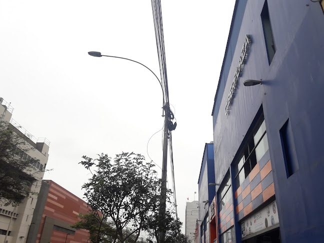 Discos educativos - Discoteca