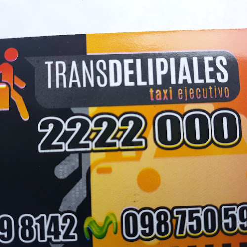 transdelipiales - Servicio de taxis