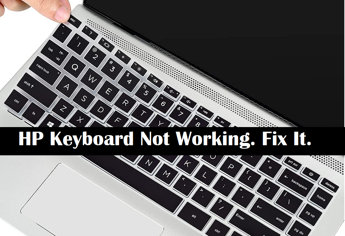HP Keyboard Not Working